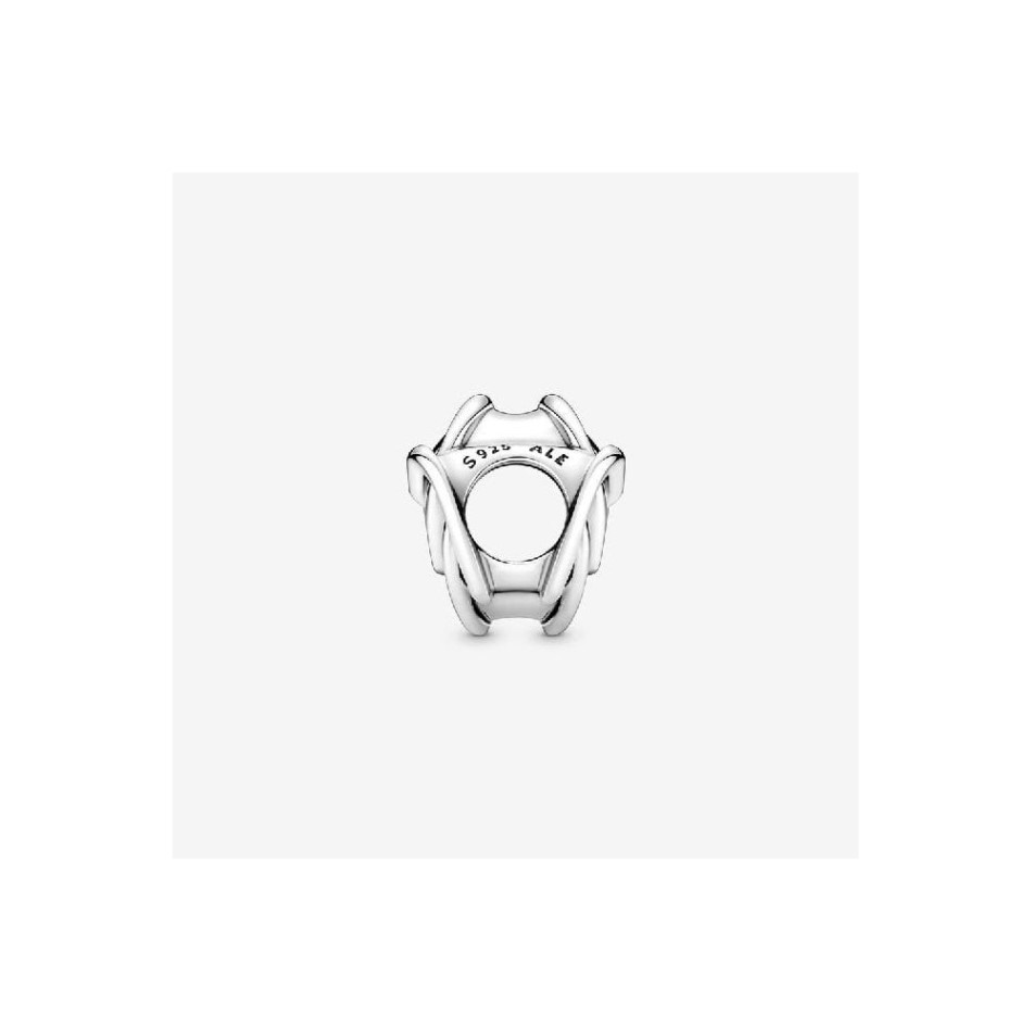 Family Always Encircled Heart Charms Pandora NZ