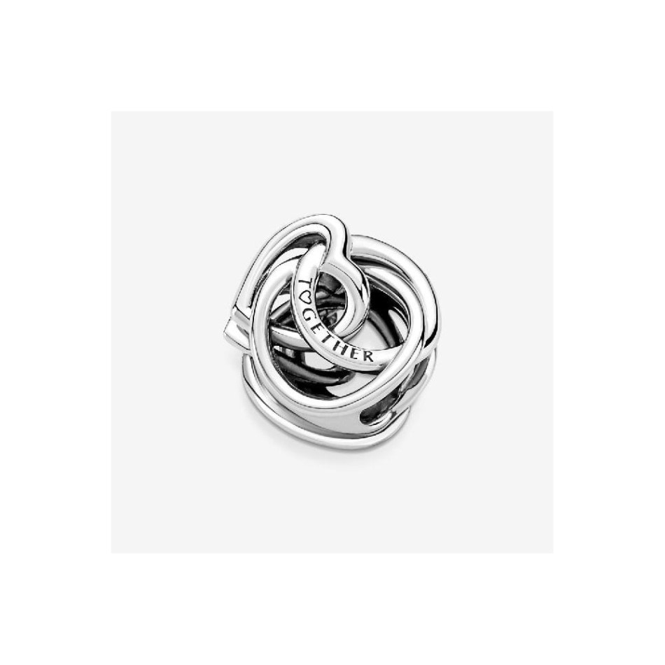 Family Always Encircled Heart Charms Pandora NZ