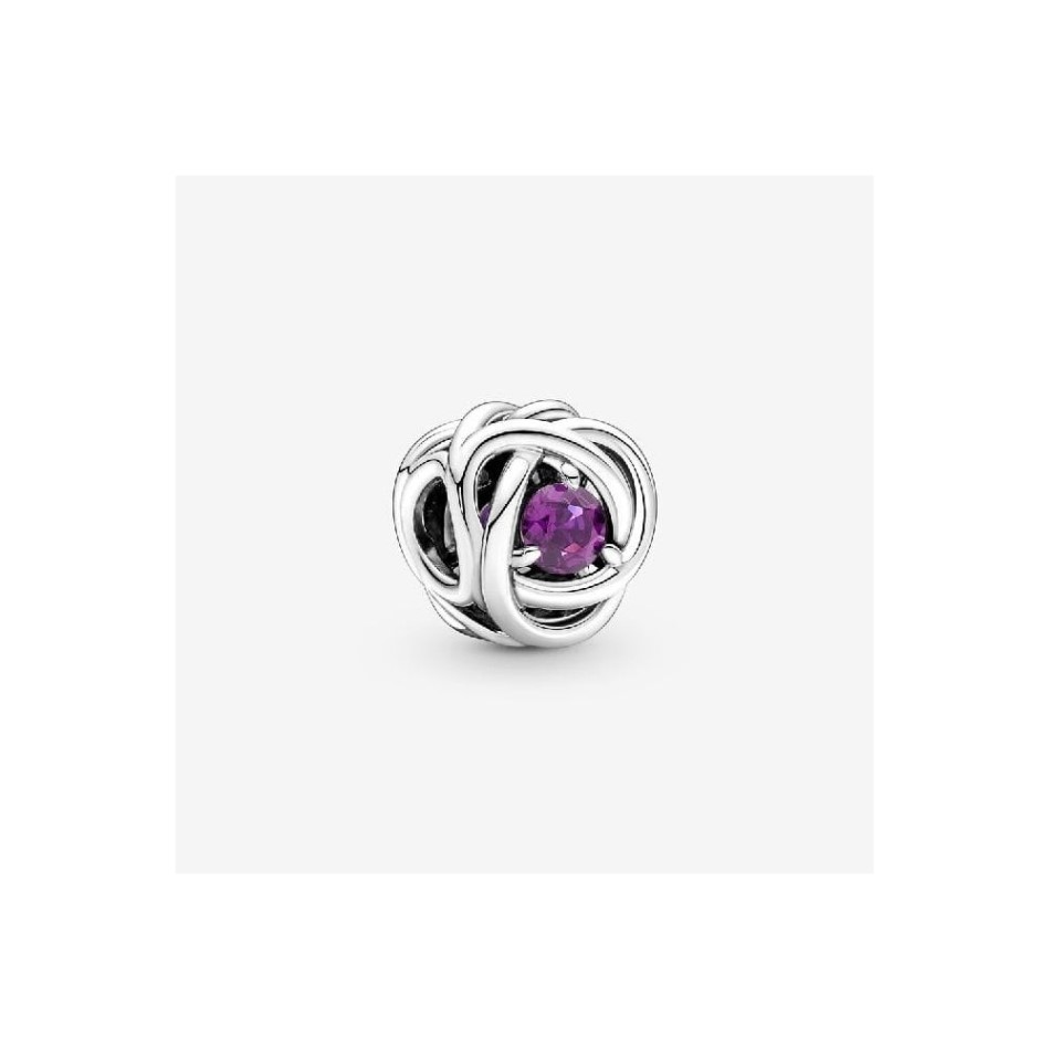 February Birthstone Eternity Circle Charms Pandora NZ