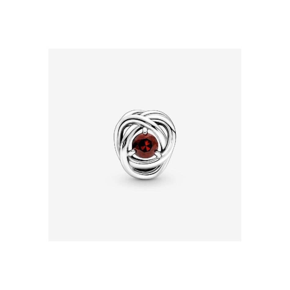 January Birthstone Eternity Circle Charms Pandora NZ