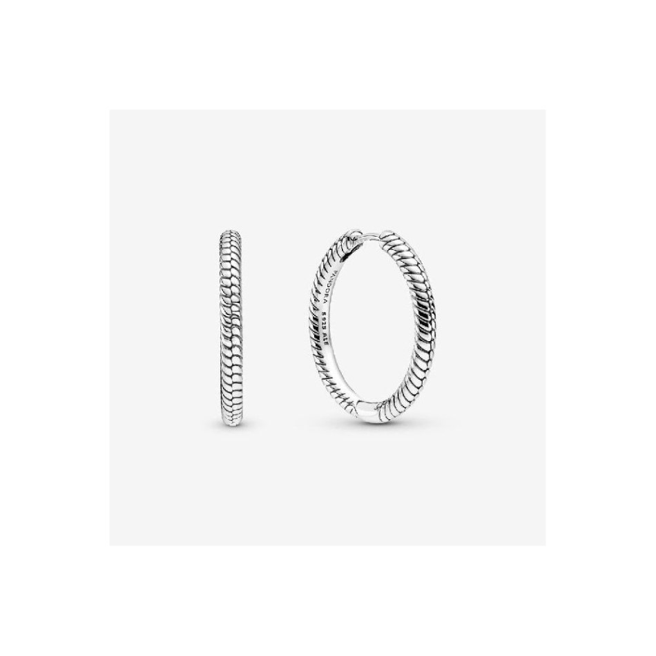 Moments Charm Hoop Earrings Pandora NZ