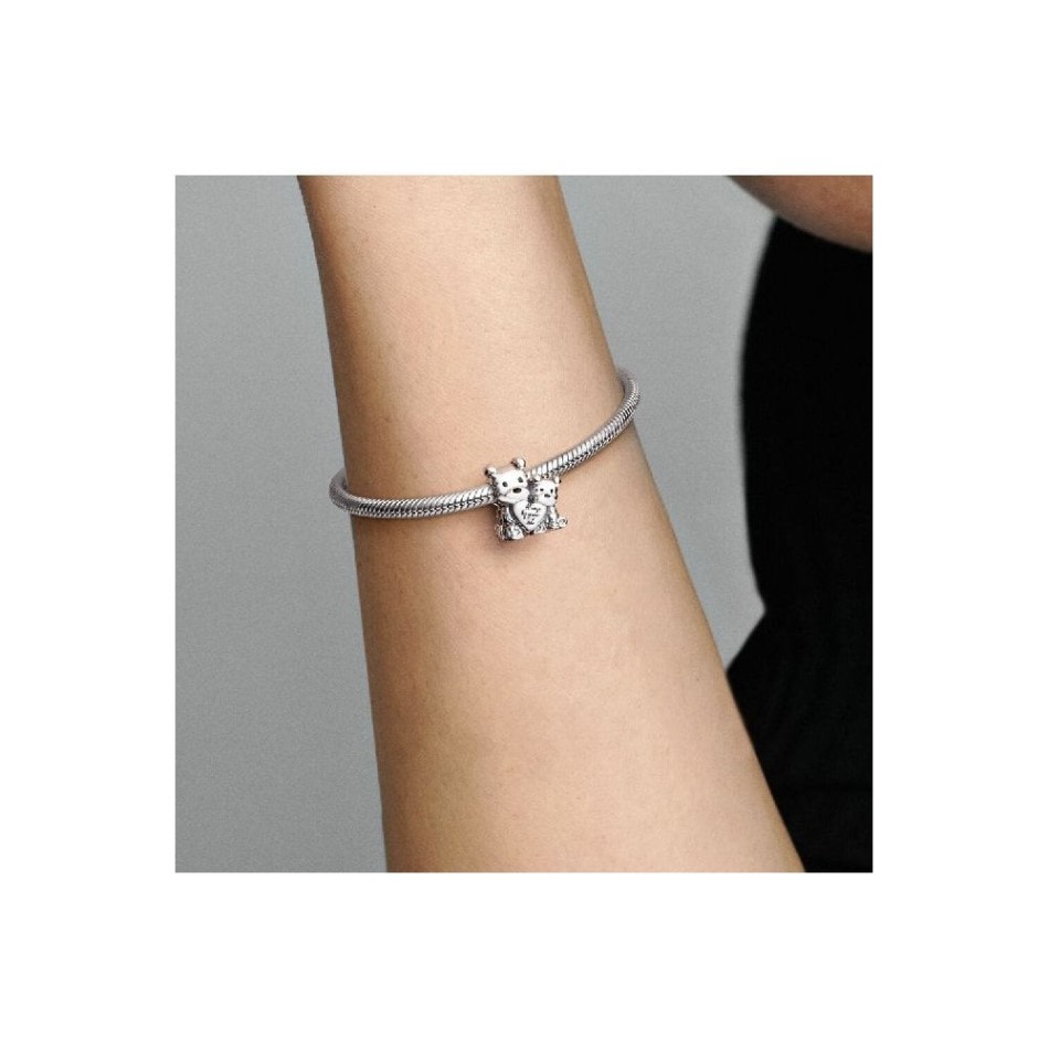 Mother & Puppy Love Charms Pandora NZ