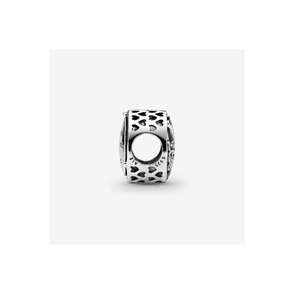 Openwork Family Roots Charms Pandora NZ