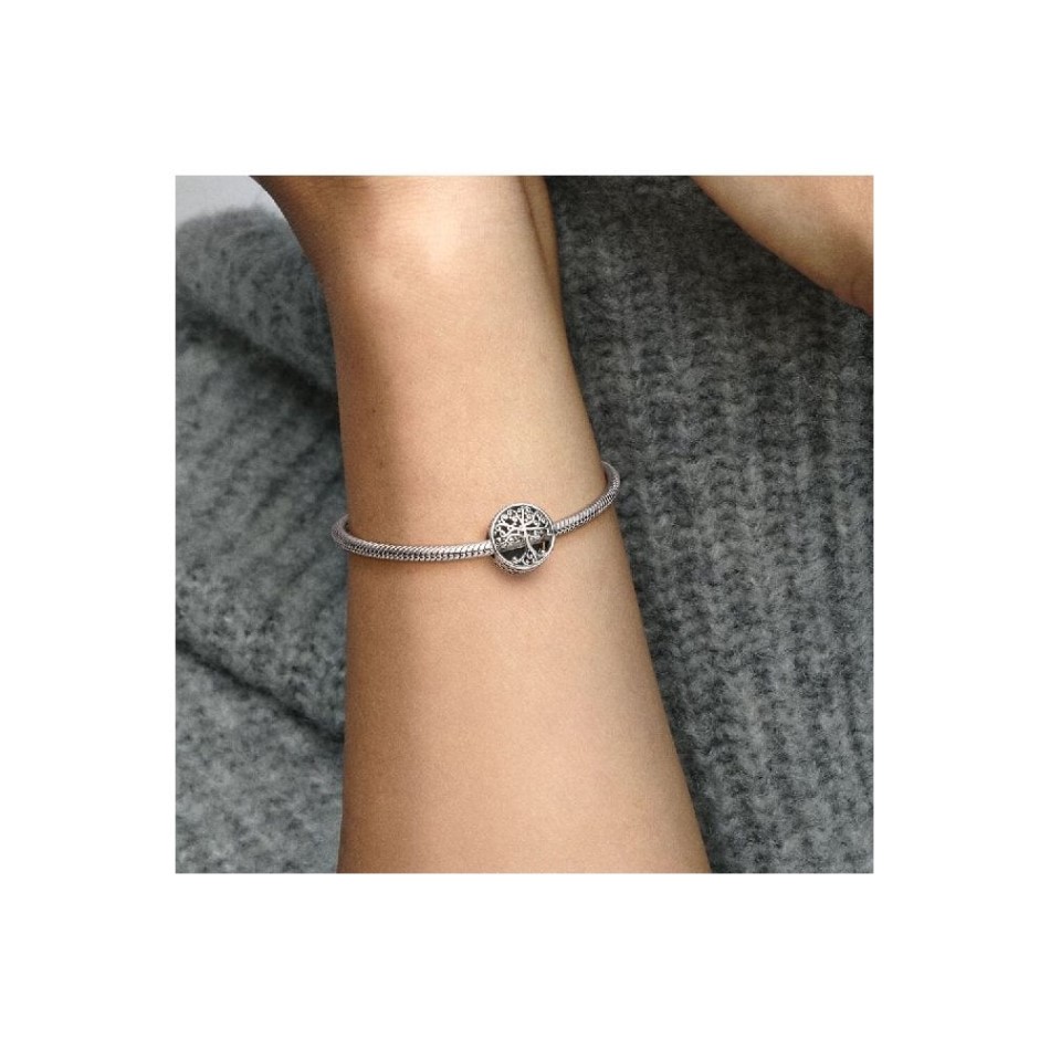 Openwork Family Roots Charms Pandora NZ