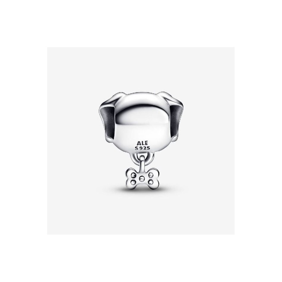 Pet Dog & Bone Charms Pandora NZ