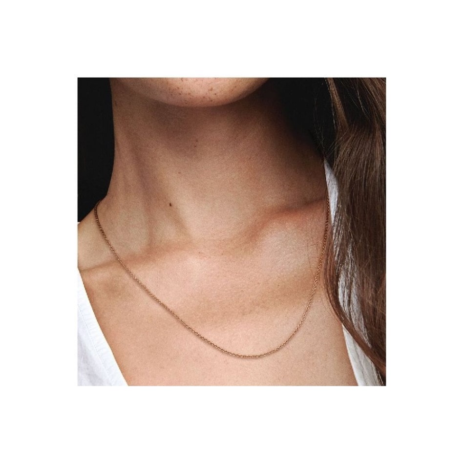 Rose Classic Cable Chain Necklace Pandora NZ