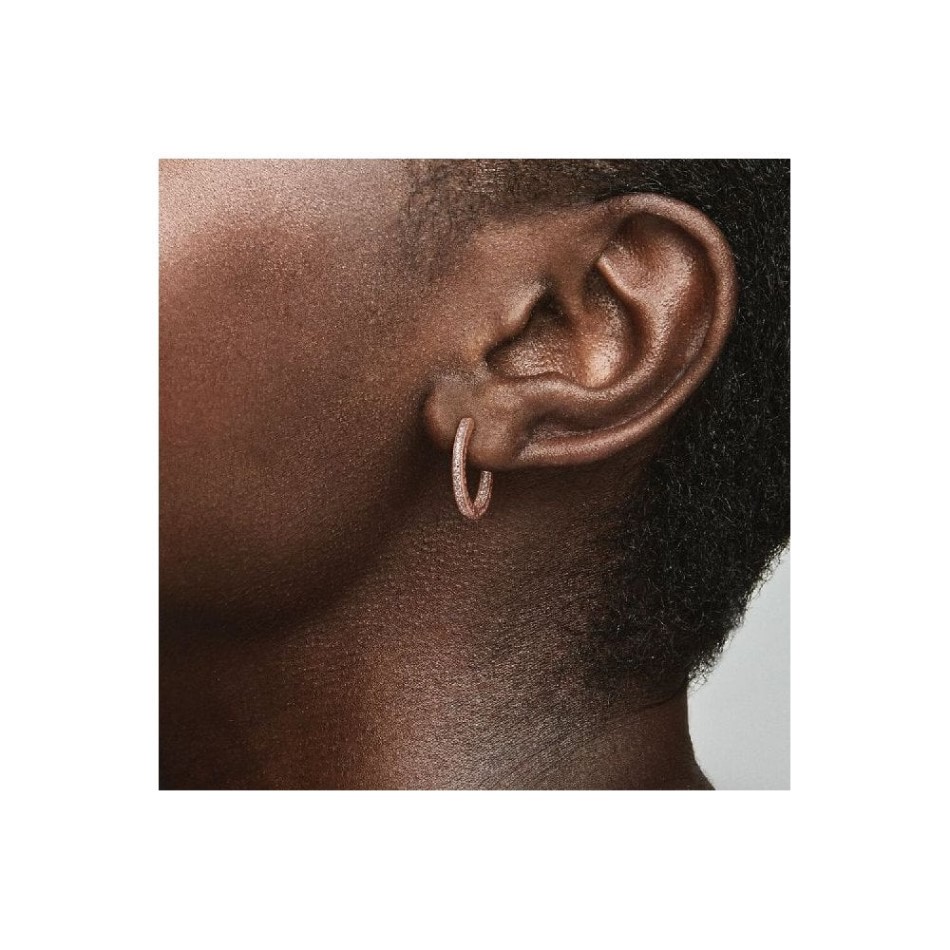 Rose Sparkle & Hearts Hoop Earrings Pandora NZ