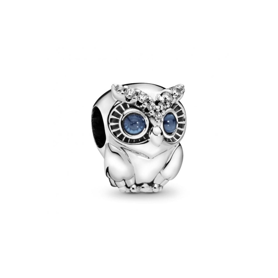 Sparkling Owl Charms Pandora NZ