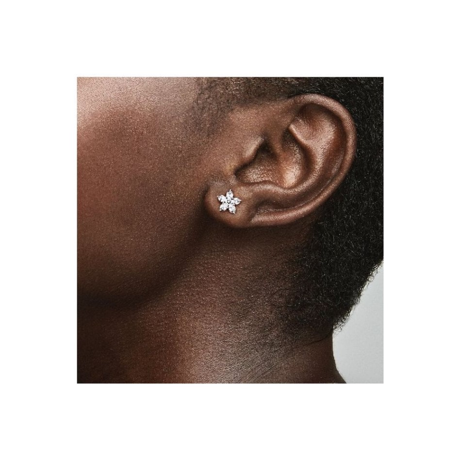 Sparkling Snowflake Stud Earrings Pandora NZ